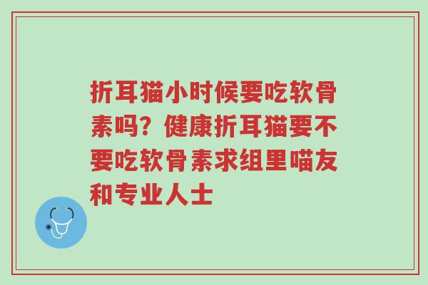 折耳猫小时候要吃软骨素吗？健康折耳猫要不要吃软骨素求组里喵友和专业人士-第1张图片-超越