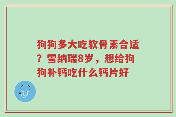 狗狗多大吃软骨素合适?雪纳瑞8岁,想给狗狗补钙吃什么钙片好-第1张图片-超越 狗狗多大吃软骨素合适?雪纳瑞8岁,想给狗狗补钙吃什么钙片好-第1张图片-超越