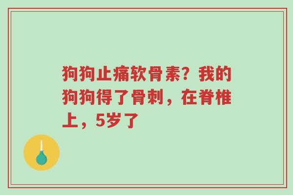 狗狗止痛软骨素?我的狗狗得了骨刺,在脊椎上,5岁了-第1张图片-超越 狗狗止痛软骨素?我的狗狗得了骨刺,在脊椎上,5岁了-第1张图片-超越
