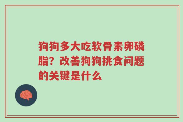 狗狗多大吃软骨素卵磷脂?改善狗狗挑食问题的关键是什么-第1张图片-超越 狗狗多大吃软骨素卵磷脂?改善狗狗挑食问题的关键是什么-第1张图片-超越