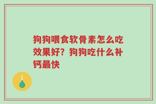 狗狗喂食软骨素怎么吃效果好?狗狗吃什么补钙最快-第1张图片-超越 狗狗喂食软骨素怎么吃效果好?狗狗吃什么补钙最快-第1张图片-超越