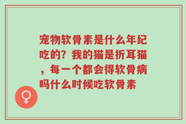 宠物软骨素是什么年纪吃的?我的猫是折耳猫,每一个都会得软骨病吗什么时候吃软骨素-第1张图片-超越 宠物软骨素是什么年纪吃的?我的猫是折耳猫,每一个都会得软骨病吗什么时候吃软骨素-第1张图片-超越