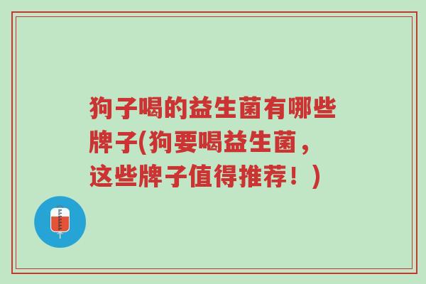 狗子喝的益生菌有哪些牌子(狗要喝益生菌，这些牌子值得推荐！)-第1张图片-超越