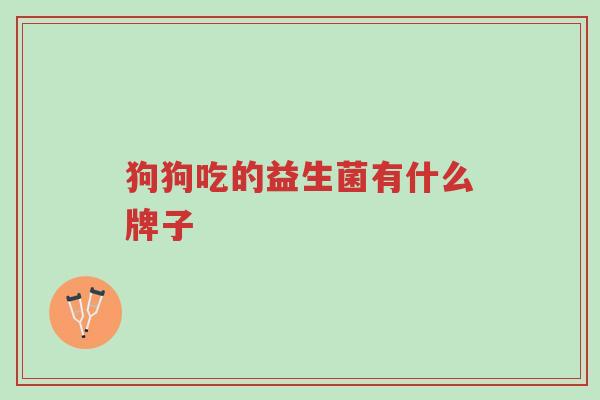 狗狗吃的益生菌有什么牌子-第1张图片-超越 狗狗吃的益生菌有什么牌子-第1张图片-超越