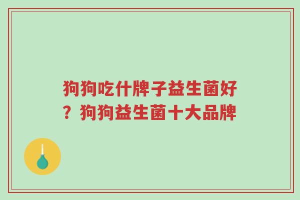 狗狗吃什牌子益生菌好?狗狗益生菌十大品牌-第1张图片-超越 狗狗吃什牌子益生菌好?狗狗益生菌十大品牌-第1张图片-超越