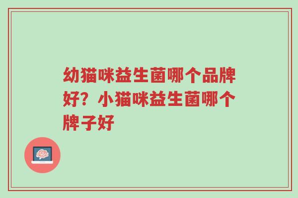 幼猫咪益生菌哪个品牌好?小猫咪益生菌哪个牌子好-第1张图片-超越 幼猫咪益生菌哪个品牌好?小猫咪益生菌哪个牌子好-第1张图片-超越