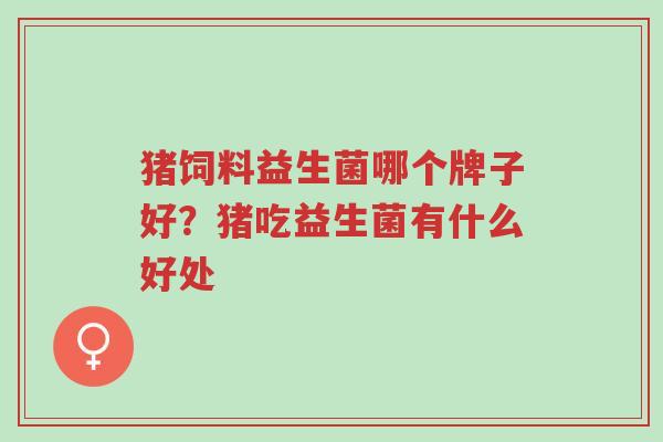 猪饲料益生菌哪个牌子好?猪吃益生菌有什么好处-第1张图片-超越 猪饲料益生菌哪个牌子好?猪吃益生菌有什么好处-第1张图片-超越