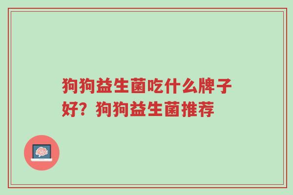 狗狗益生菌吃什么牌子好?狗狗益生菌推荐-第1张图片-超越 狗狗益生菌吃什么牌子好?狗狗益生菌推荐-第1张图片-超越