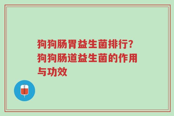狗狗肠胃益生菌排行?狗狗肠道益生菌的作用与功效-第1张图片-超越 狗狗肠胃益生菌排行?狗狗肠道益生菌的作用与功效-第1张图片-超越