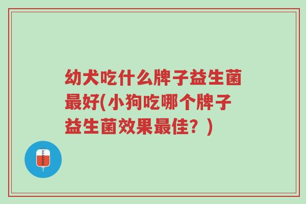 幼犬吃什么牌子益生菌最好(小狗吃哪个牌子益生菌效果最佳?)-第1张图片-超越 幼犬吃什么牌子益生菌最好(小狗吃哪个牌子益生菌效果最佳?)-第1张图片-超越