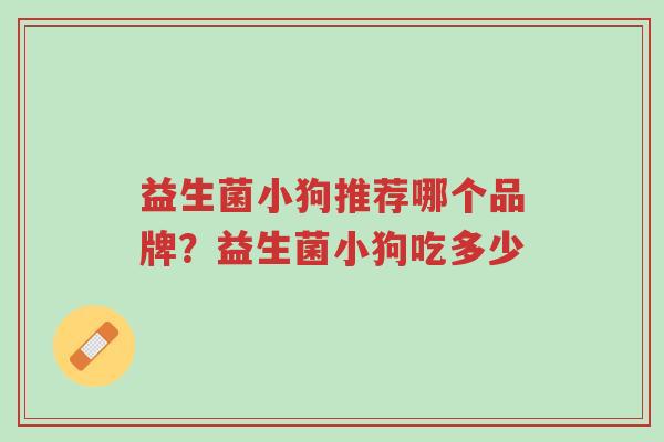 益生菌小狗推荐哪个品牌?益生菌小狗吃多少-第1张图片-超越 益生菌小狗推荐哪个品牌?益生菌小狗吃多少-第1张图片-超越