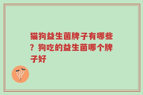 猫狗益生菌牌子有哪些?狗吃的益生菌哪个牌子好-第1张图片-超越 猫狗益生菌牌子有哪些?狗吃的益生菌哪个牌子好-第1张图片-超越