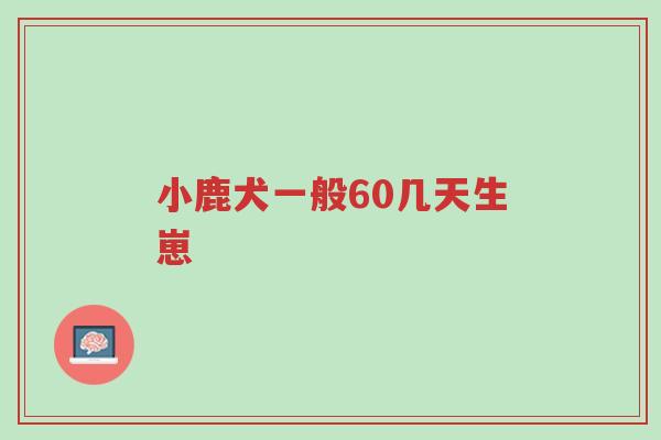 小鹿犬一般60几天生崽-第1张图片-超越 小鹿犬一般60几天生崽-第1张图片-超越