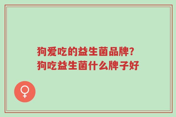 狗爱吃的益生菌品牌?狗吃益生菌什么牌子好-第1张图片-超越 狗爱吃的益生菌品牌?狗吃益生菌什么牌子好-第1张图片-超越