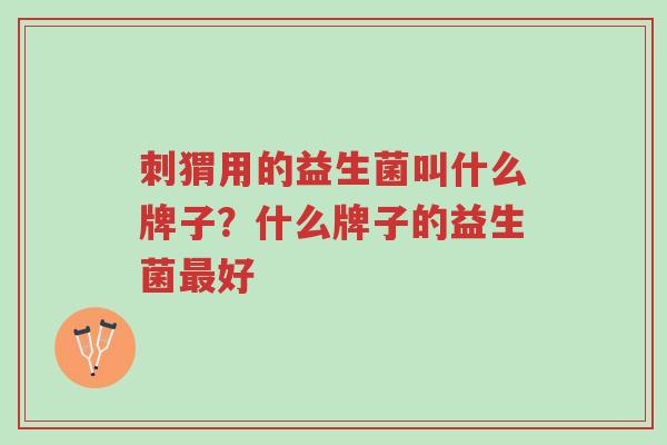 刺猬用的益生菌叫什么牌子?什么牌子的益生菌最好-第1张图片-超越 刺猬用的益生菌叫什么牌子?什么牌子的益生菌最好-第1张图片-超越