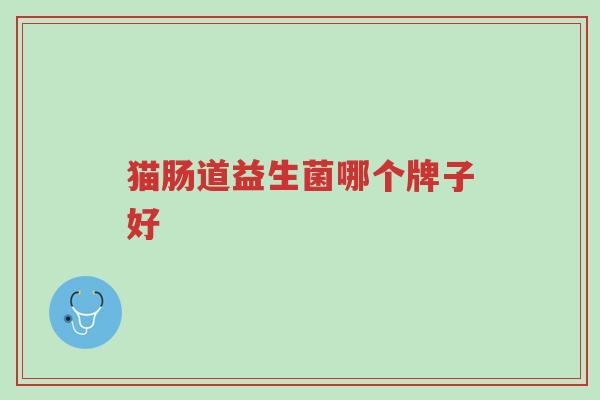 猫肠道益生菌哪个牌子好-第1张图片-超越 猫肠道益生菌哪个牌子好-第1张图片-超越