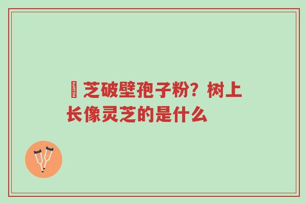 雲芝破壁孢子粉?树上长像灵芝的是什么-第1张图片-超越 雲芝破壁孢子粉?树上长像灵芝的是什么-第1张图片-超越