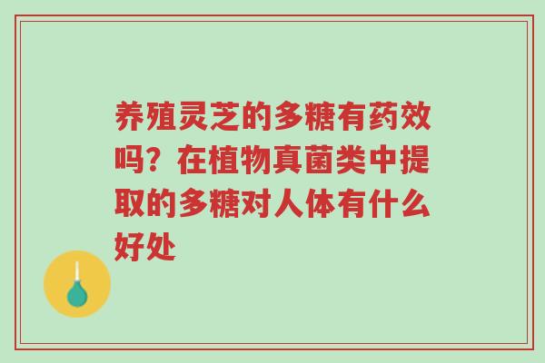 养殖灵芝的多糖有药效吗?在植物真菌类中提取的多糖对人体有什么好处-第1张图片-超越 养殖灵芝的多糖有药效吗?在植物真菌类中提取的多糖对人体有什么好处-第1张图片-超越