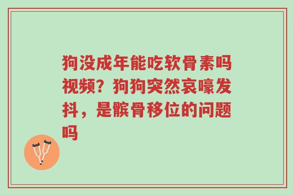 狗没成年能吃软骨素吗视频?狗狗突然哀嚎发抖,是髌骨移位的问题吗-第1张图片-超越 狗没成年能吃软骨素吗视频?狗狗突然哀嚎发抖,是髌骨移位的问题吗-第1张图片-超越