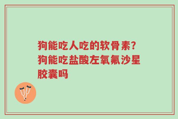 狗能吃人吃的软骨素?狗能吃盐酸左氧氟沙星胶囊吗-第1张图片-超越 狗能吃人吃的软骨素?狗能吃盐酸左氧氟沙星胶囊吗-第1张图片-超越