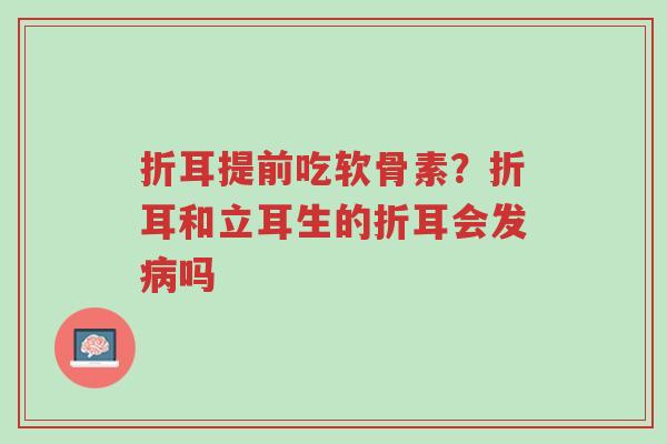 折耳提前吃软骨素？折耳和立耳生的折耳会发病吗-第1张图片-超越
