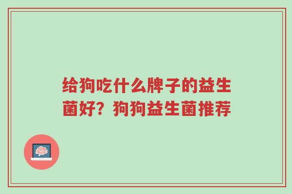 给狗吃什么牌子的益生菌好？狗狗益生菌推荐-第1张图片-超越