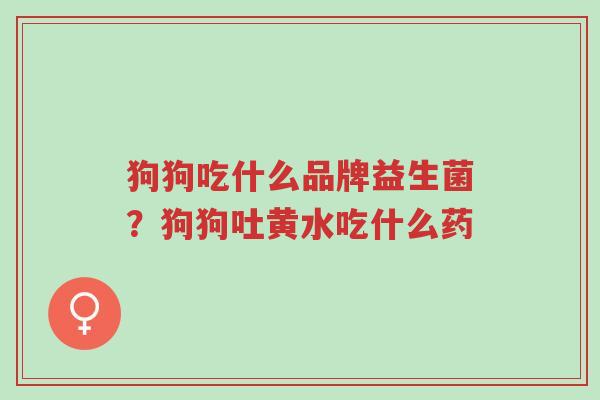 狗狗吃什么品牌益生菌?狗狗吐黄水吃什么药-第1张图片-超越 狗狗吃什么品牌益生菌?狗狗吐黄水吃什么药-第1张图片-超越
