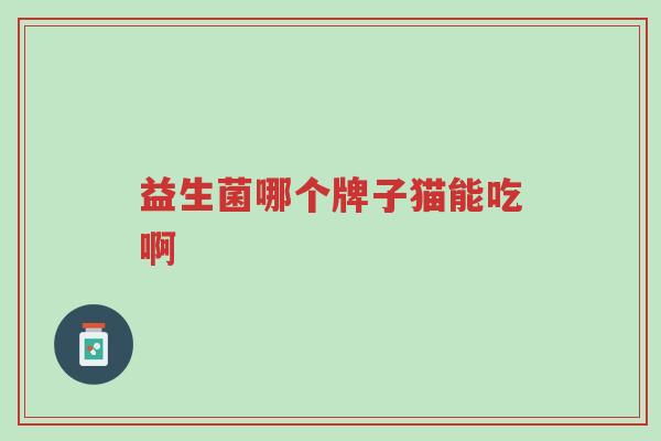 益生菌哪个牌子猫能吃啊-第1张图片-超越 益生菌哪个牌子猫能吃啊-第1张图片-超越