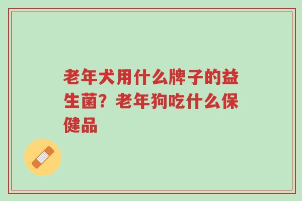老年犬用什么牌子的益生菌？老年狗吃什么保健品-第1张图片-超越