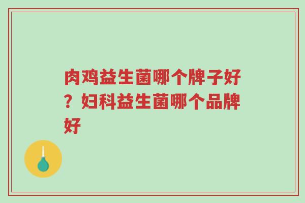 肉鸡益生菌哪个牌子好?妇科益生菌哪个品牌好-第1张图片-超越 肉鸡益生菌哪个牌子好?妇科益生菌哪个品牌好-第1张图片-超越
