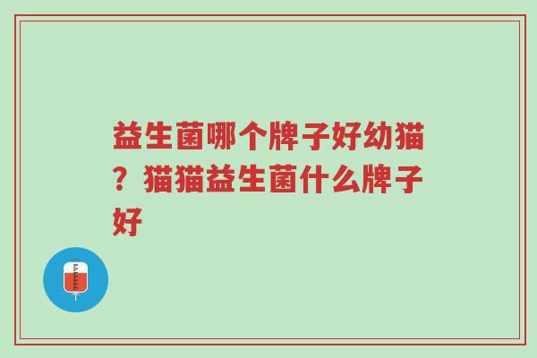 益生菌哪个牌子好幼猫?猫猫益生菌什么牌子好-第1张图片-超越 益生菌哪个牌子好幼猫?猫猫益生菌什么牌子好-第1张图片-超越