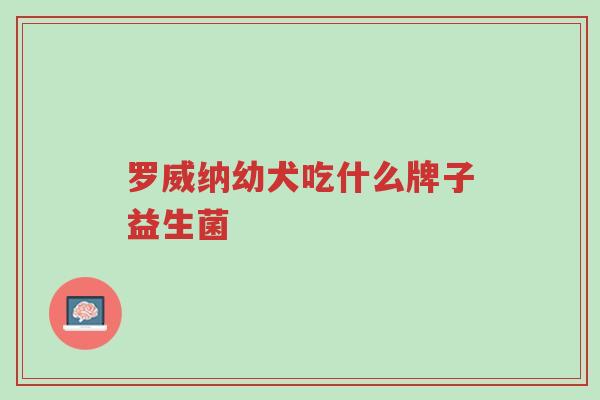 罗威纳幼犬吃什么牌子益生菌-第1张图片-超越