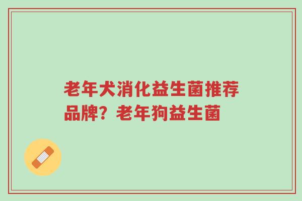 老年犬消化益生菌推荐品牌?老年狗益生菌-第1张图片-超越 老年犬消化益生菌推荐品牌?老年狗益生菌-第1张图片-超越