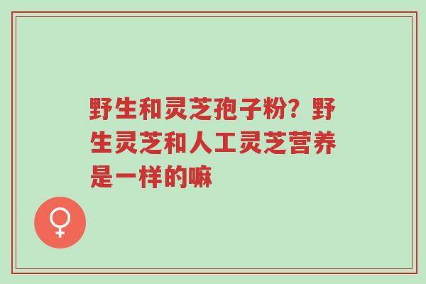野生和灵芝孢子粉?野生灵芝和人工灵芝营养是一样的嘛-第1张图片-超越 野生和灵芝孢子粉?野生灵芝和人工灵芝营养是一样的嘛-第1张图片-超越