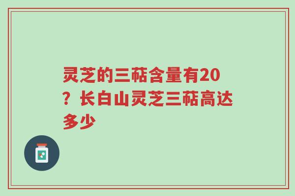 灵芝的三萜含量有20？长白山灵芝三萜高达多少-第1张图片-超越