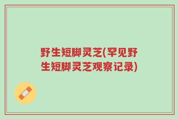 野生短脚灵芝(罕见野生短脚灵芝观察记录)-第1张图片-超越 野生短脚灵芝(罕见野生短脚灵芝观察记录)-第1张图片-超越