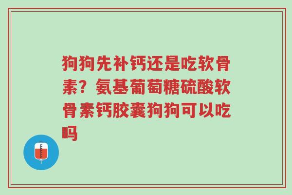 狗狗先补钙还是吃软骨素?氨基葡萄糖硫酸软骨素钙胶囊狗狗可以吃吗-第1张图片-超越 狗狗先补钙还是吃软骨素?氨基葡萄糖硫酸软骨素钙胶囊狗狗可以吃吗-第1张图片-超越