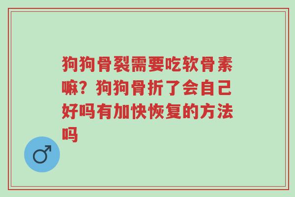 狗狗骨裂需要吃软骨素嘛?狗狗骨折了会自己好吗有加快恢复的方法吗-第1张图片-超越 狗狗骨裂需要吃软骨素嘛?狗狗骨折了会自己好吗有加快恢复的方法吗-第1张图片-超越
