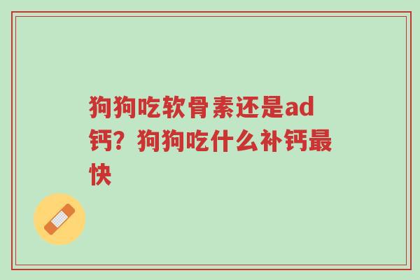 狗狗吃软骨素还是ad钙?狗狗吃什么补钙最快-第1张图片-超越 狗狗吃软骨素还是ad钙?狗狗吃什么补钙最快-第1张图片-超越