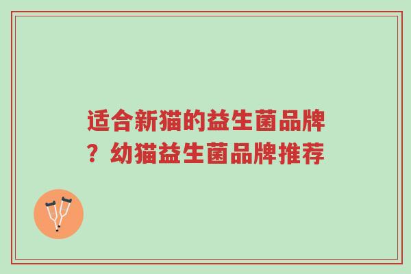适合新猫的益生菌品牌？幼猫益生菌品牌推荐-第1张图片-超越