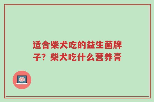适合柴犬吃的益生菌牌子?柴犬吃什么营养膏-第1张图片-超越 适合柴犬吃的益生菌牌子?柴犬吃什么营养膏-第1张图片-超越