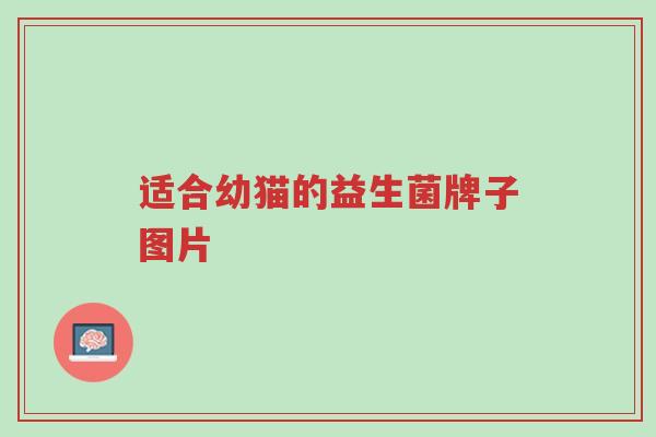 适合幼猫的益生菌牌子图片-第1张图片-超越 适合幼猫的益生菌牌子图片-第1张图片-超越