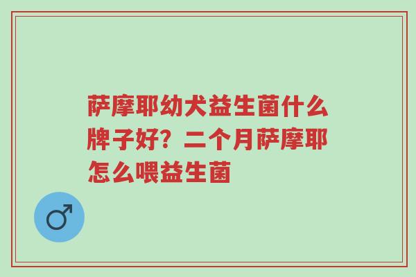 萨摩耶幼犬益生菌什么牌子好?二个月萨摩耶怎么喂益生菌-第1张图片-超越 萨摩耶幼犬益生菌什么牌子好?二个月萨摩耶怎么喂益生菌-第1张图片-超越