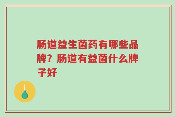 肠道益生菌药有哪些品牌?肠道有益菌什么牌子好-第1张图片-超越 肠道益生菌药有哪些品牌?肠道有益菌什么牌子好-第1张图片-超越