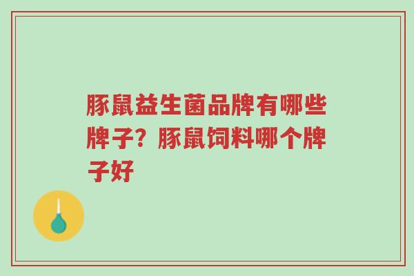 豚鼠益生菌品牌有哪些牌子？豚鼠饲料哪个牌子好-第1张图片-超越