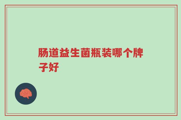 肠道益生菌瓶装哪个牌子好-第1张图片-超越