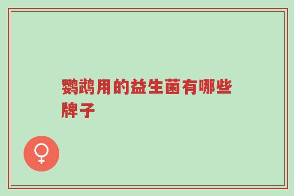 鹦鹉用的益生菌有哪些牌子-第1张图片-超越 鹦鹉用的益生菌有哪些牌子-第1张图片-超越