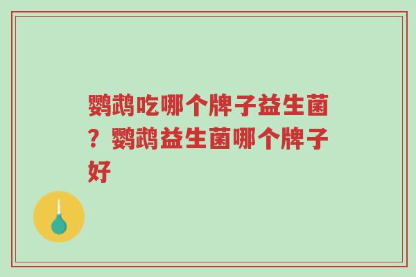 鹦鹉吃哪个牌子益生菌?鹦鹉益生菌哪个牌子好-第1张图片-超越 鹦鹉吃哪个牌子益生菌?鹦鹉益生菌哪个牌子好-第1张图片-超越