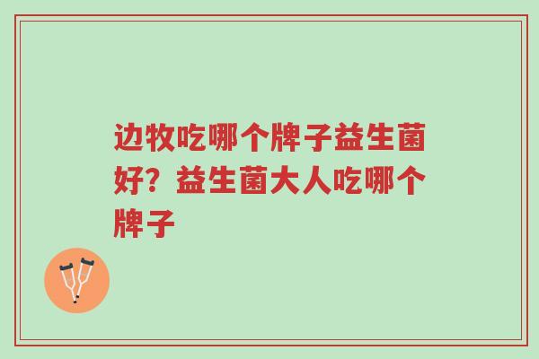 边牧吃哪个牌子益生菌好?益生菌大人吃哪个牌子-第1张图片-超越 边牧吃哪个牌子益生菌好?益生菌大人吃哪个牌子-第1张图片-超越