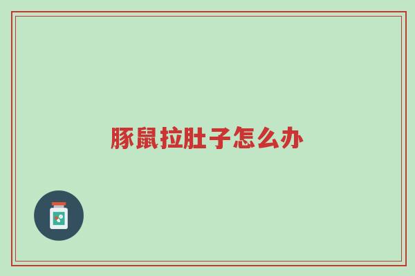 豚鼠拉肚子怎么办-第1张图片-超越